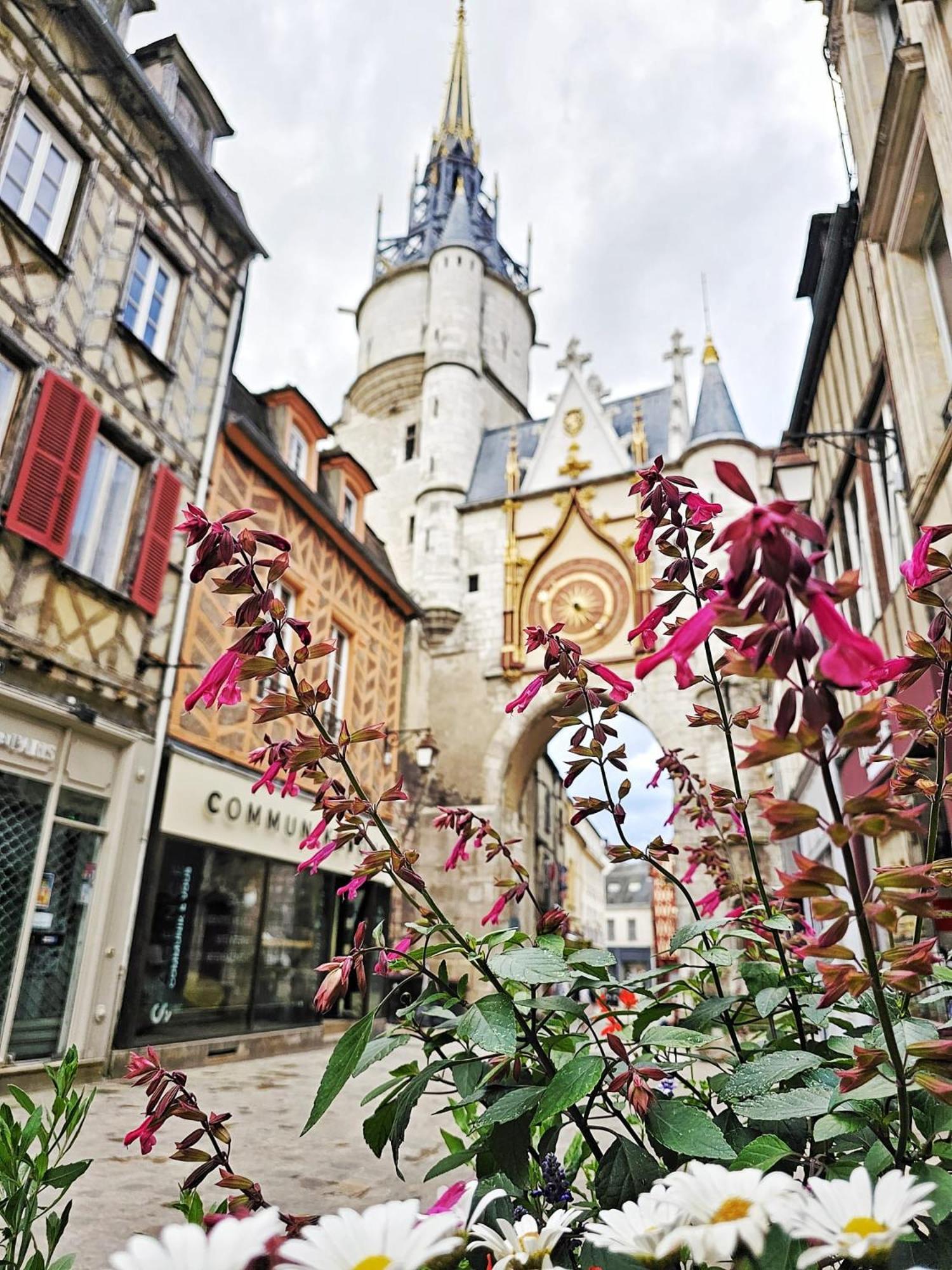 Apartamento Aux'Cerfs - A Deux Pas De L'Abbaye Auxerre Exterior foto